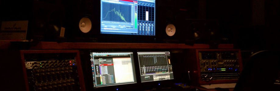 Native Music Studio / Eddie Hedges / CEO Cover Image