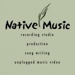 Native Music Studio / Eddie Hedges / CEO profile picture