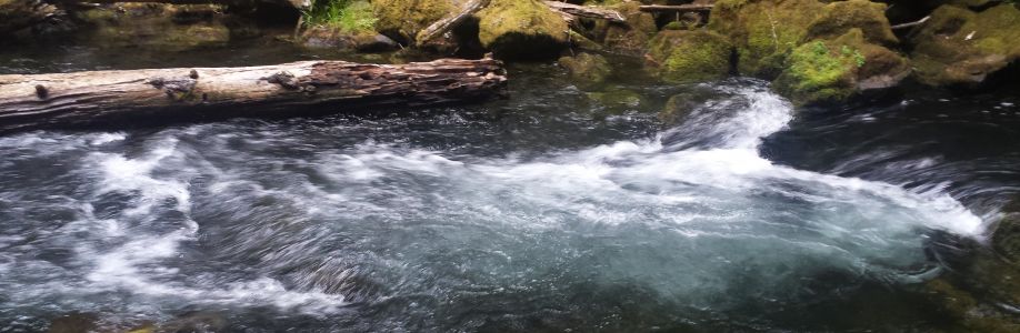 Glenn Finley Cover Image