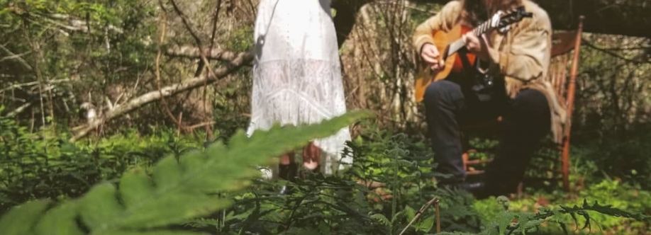 Saylor Dollar Cover Image