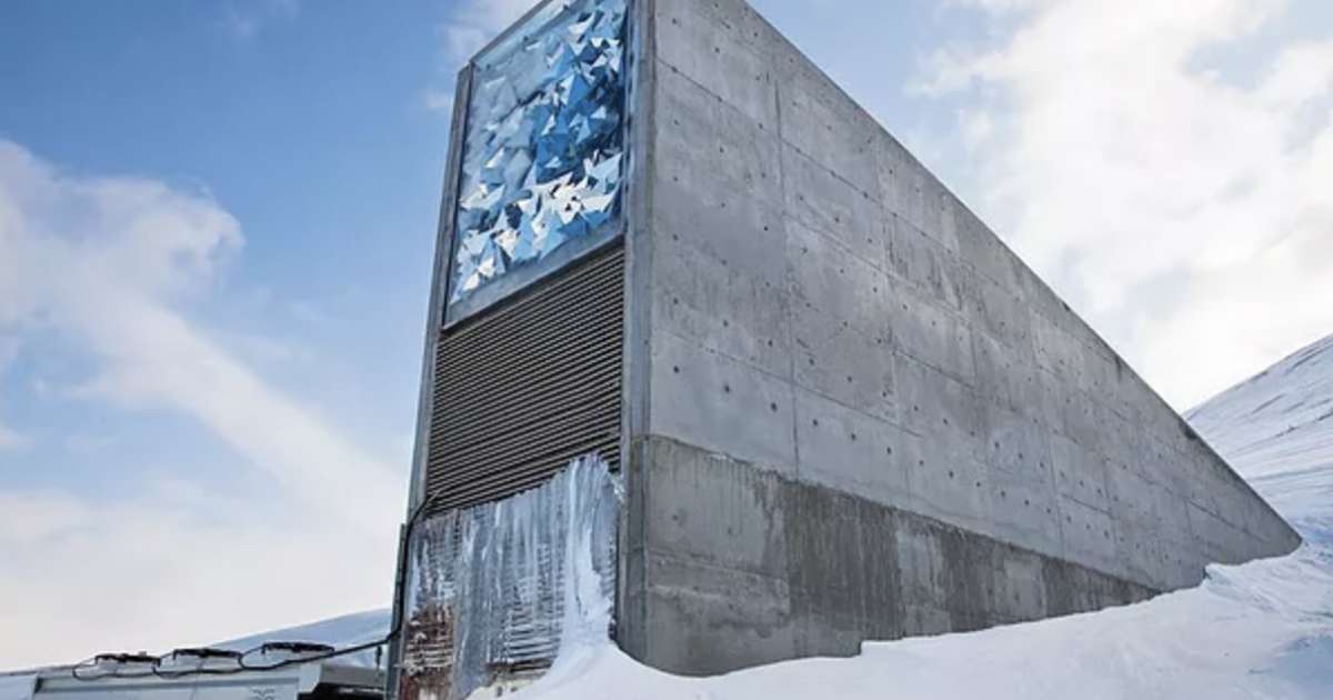 ​A doomsday vault is being created to preserve the world’s best music - News - Mixmag